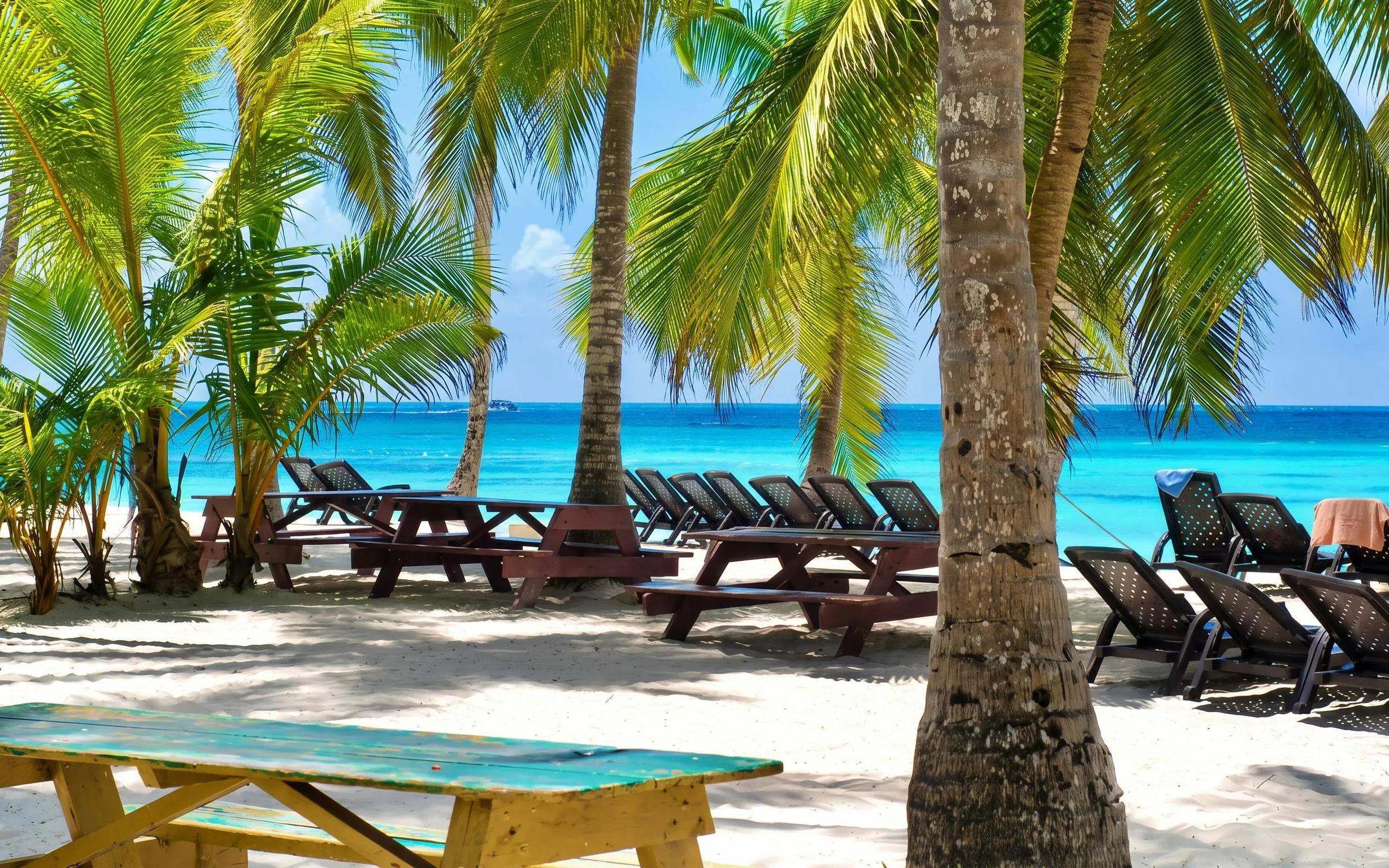 Sunlit beach with palm trees and lounge chairs on Saona Island, Punta Cana.