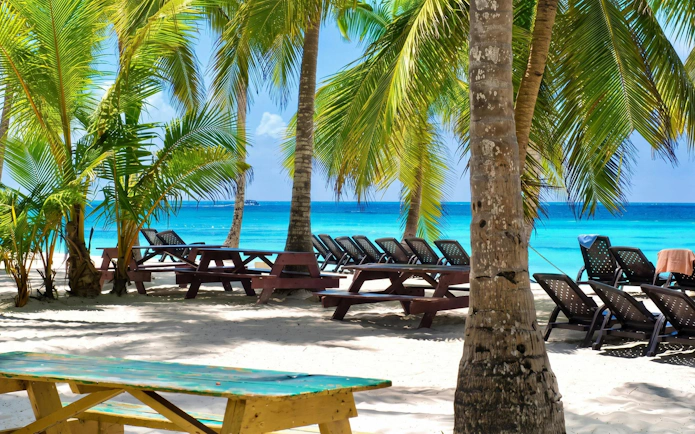 Sunlit beach with palm trees and lounge chairs on Saona Island, Punta Cana.