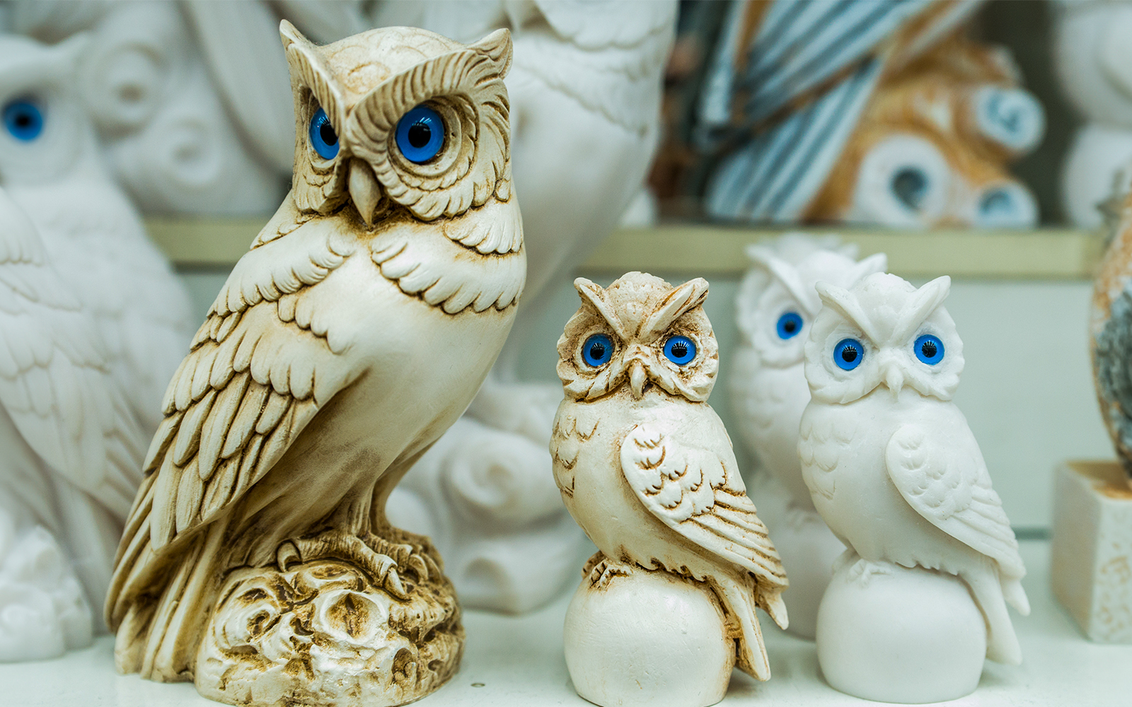 Owl museum entrance near Habitat Penang Hill, Malaysia, with lush greenery and clear blue skies