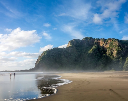 Day Trips from Auckland