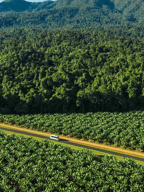 Van driving through lush greenery near Barron River for Raging Thunder Rafting tour.