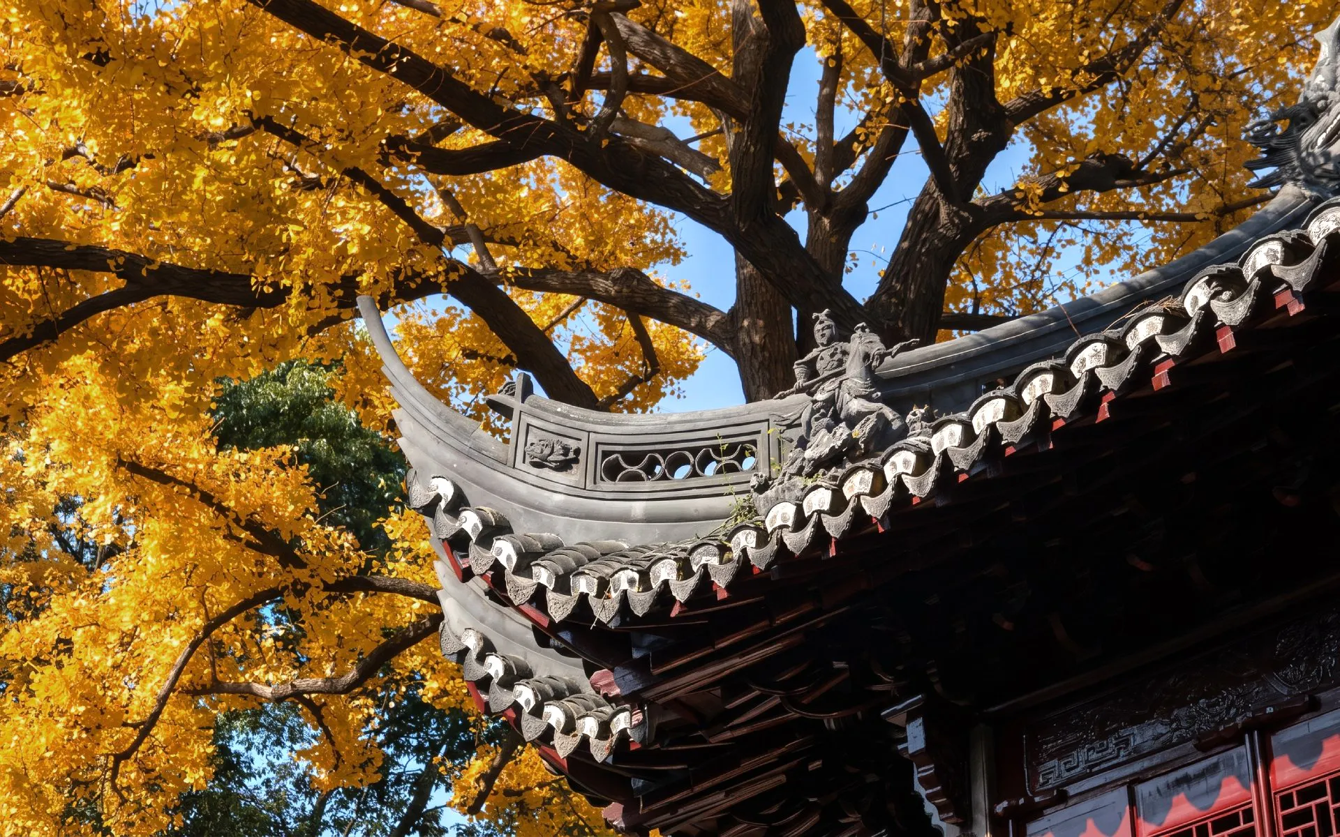 Yu Garden pavilion roof with intricate carvings under golden autumn leaves, Shanghai, China.