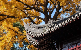 Yu Garden pavilion roof with intricate carvings under golden autumn leaves, Shanghai, China.