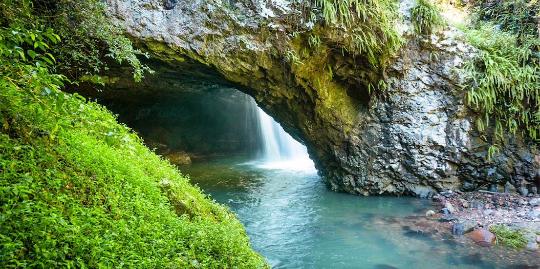 Springbrook National Park