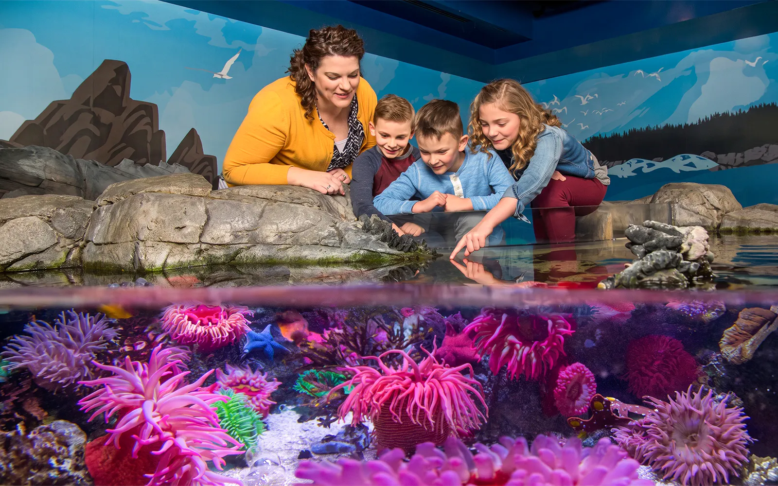 Visitors interacting with sea creatures at the touch pool in Sea Life New Jersey.