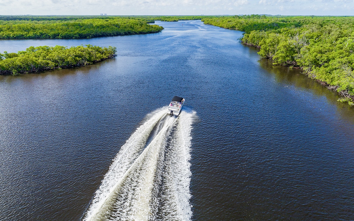 Airboat cruising through Everglades Holiday Park waterway surrounded by lush greenery.