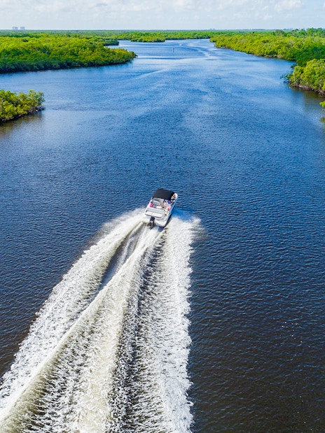 Airboat cruising through Everglades Holiday Park waterway surrounded by lush greenery.