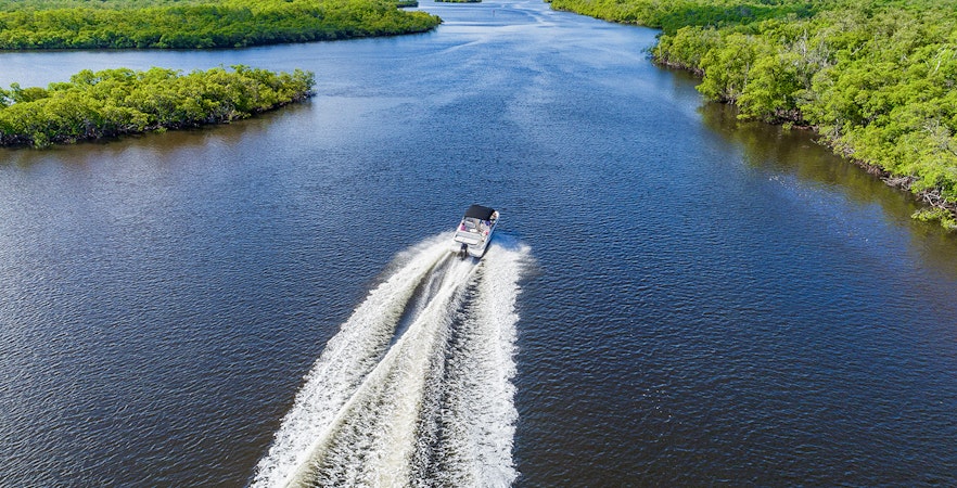 Airboat cruising through Everglades Holiday Park waterway surrounded by lush greenery.