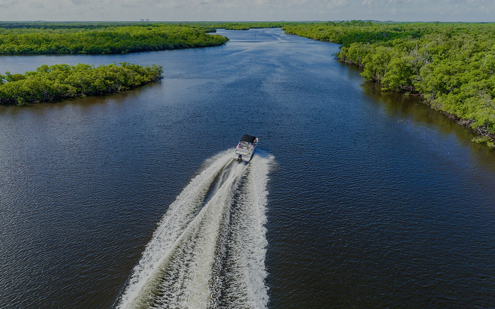 Airboat cruising through Everglades Holiday Park waterway surrounded by lush greenery.