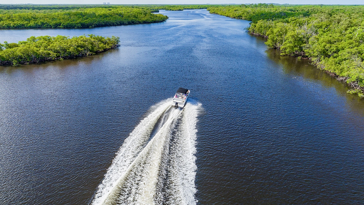 Airboat cruising through Everglades Holiday Park waterway surrounded by lush greenery.