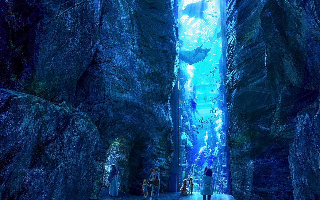 Visitors observing divers and marine life in a large aquarium at Sea World Abu Dhabi.