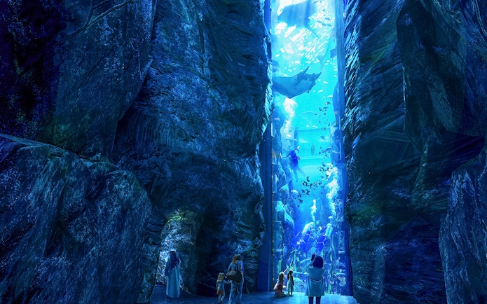 Visitors observing divers and marine life in a large aquarium at Sea World Abu Dhabi.