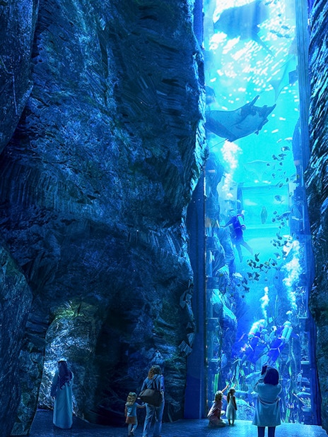 Visitors observing divers and marine life in a large aquarium at Sea World Abu Dhabi.