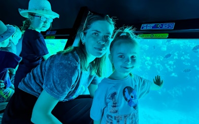 Family with kids viewing fish on Royal Seascope Submarine, Hurghada.