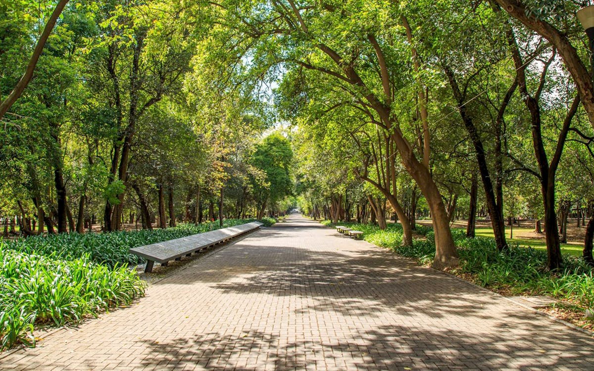 guided bike tour of chapultepec park-10 guided bike tour of chapultepec park-10