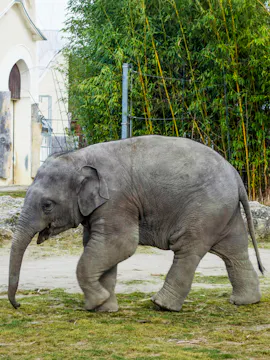 Hellabrunn Zoo