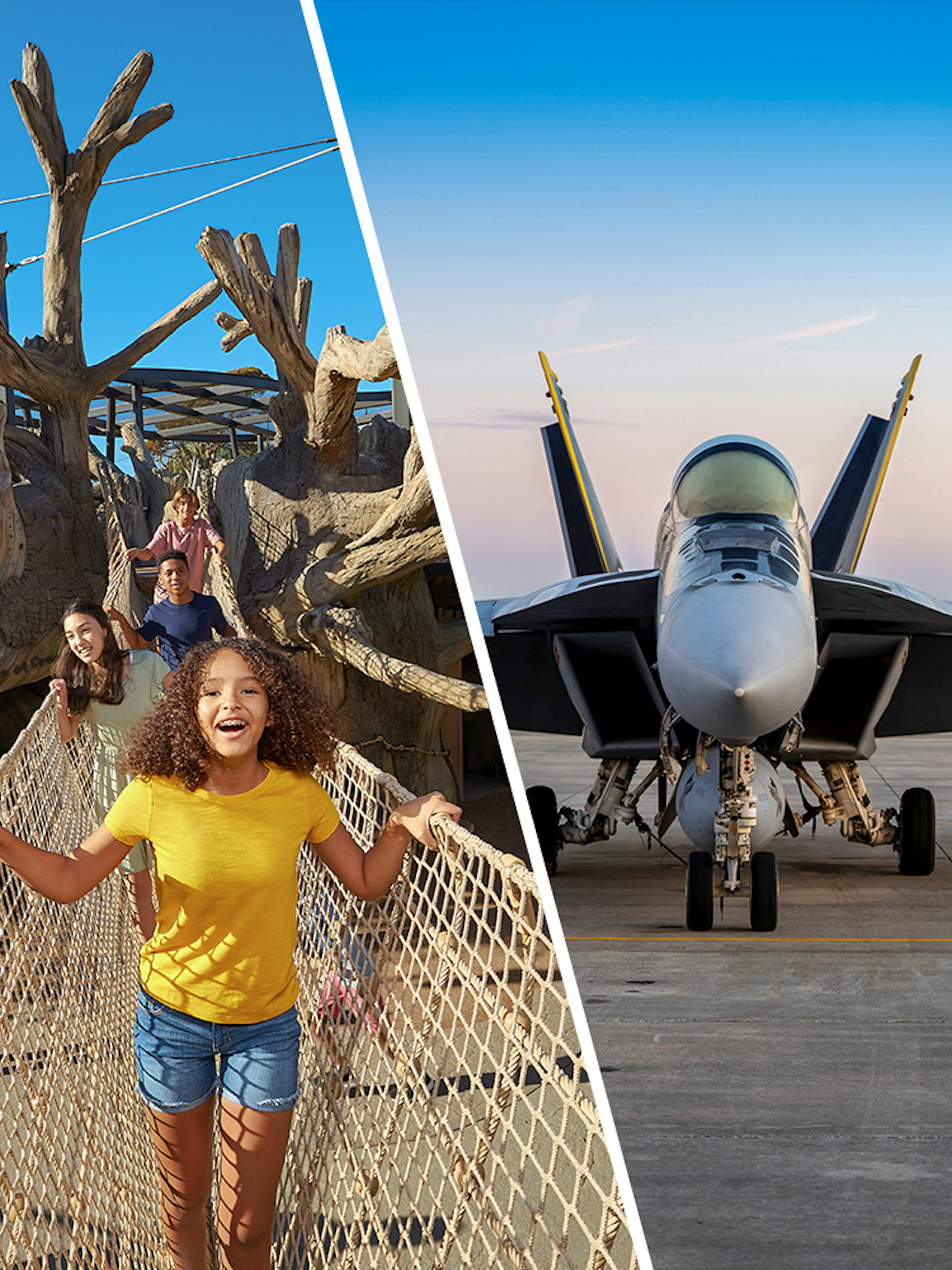 San Diego Zoo treetop walkway and USS Midway Museum aircraft display.