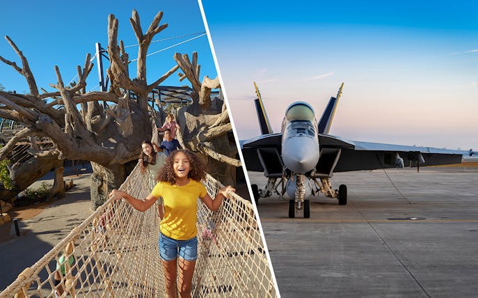 San Diego Zoo treetop walkway and USS Midway Museum aircraft display.