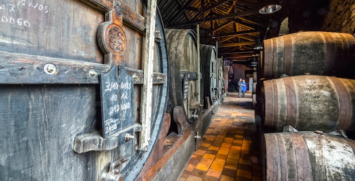 Burmester Wine Cellar