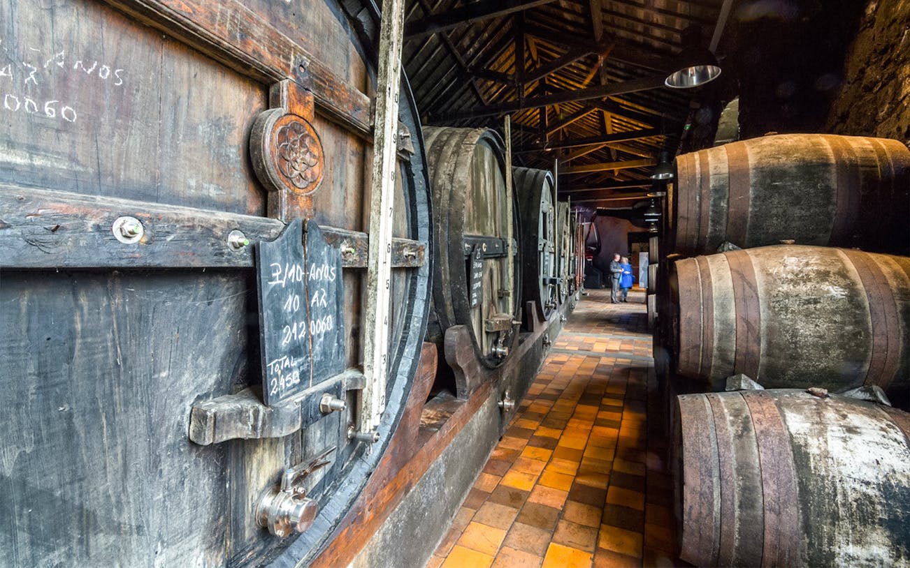 Wine barrels in Burmester Cellars, Portugal, with visitors exploring the winery.