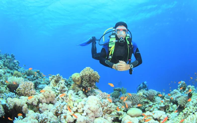 Scuba diver exploring coral reef in the Red Sea, Hurghada.