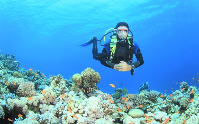 Scuba diver exploring coral reef in the Red Sea, Hurghada.