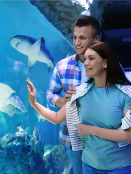 Couple observing marine life at Georgia Aquarium.