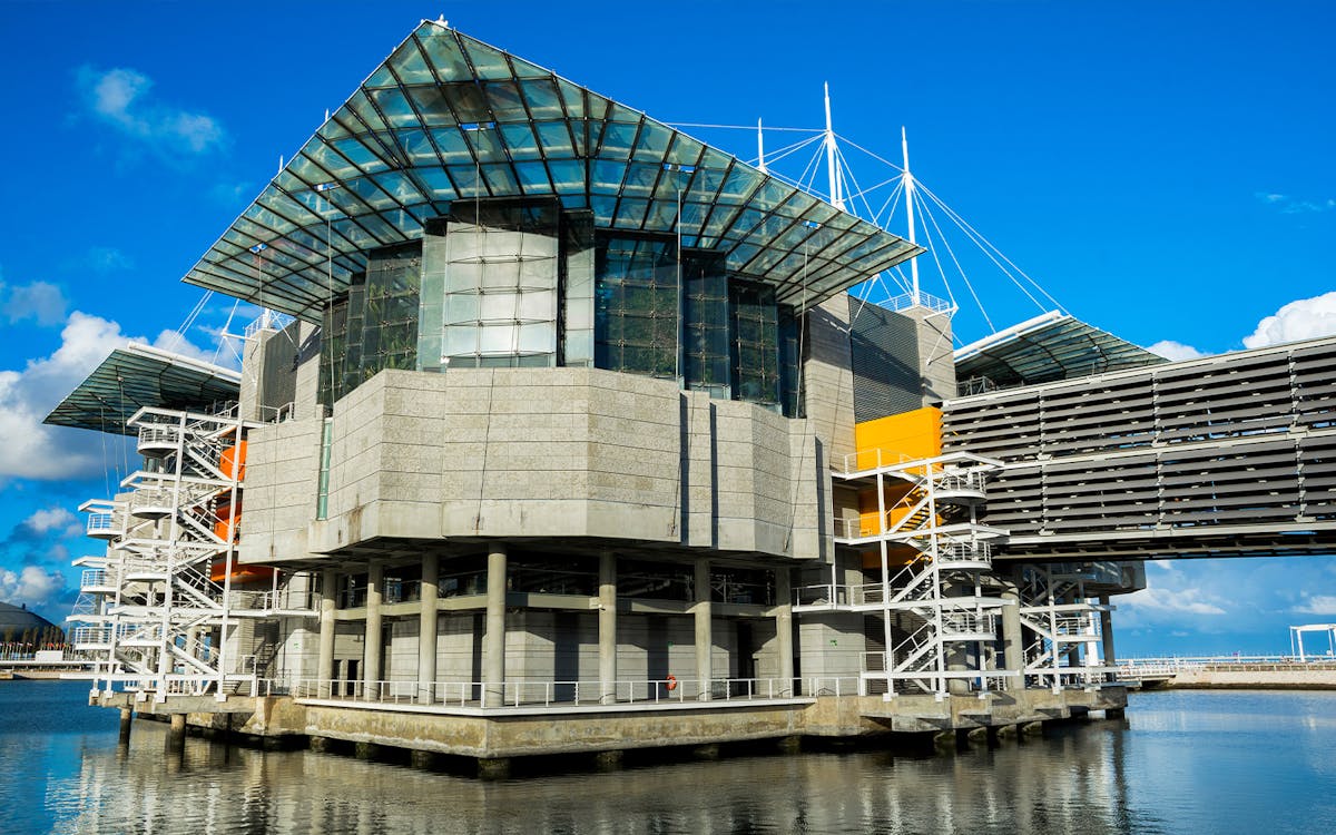 World of Oceanario Lisboa