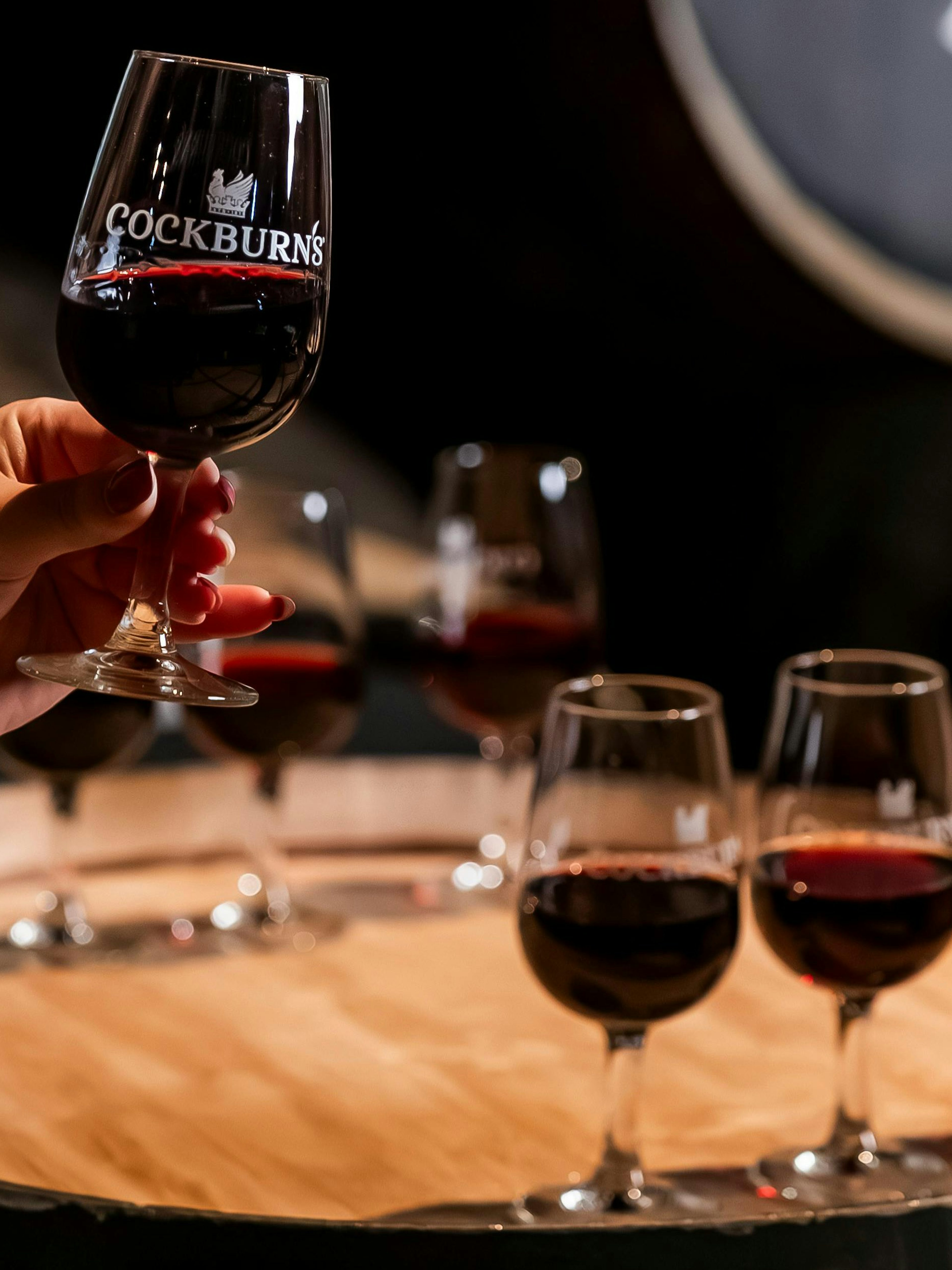 tour guidato del cockburn's lodge con degustazione di vini premium-1