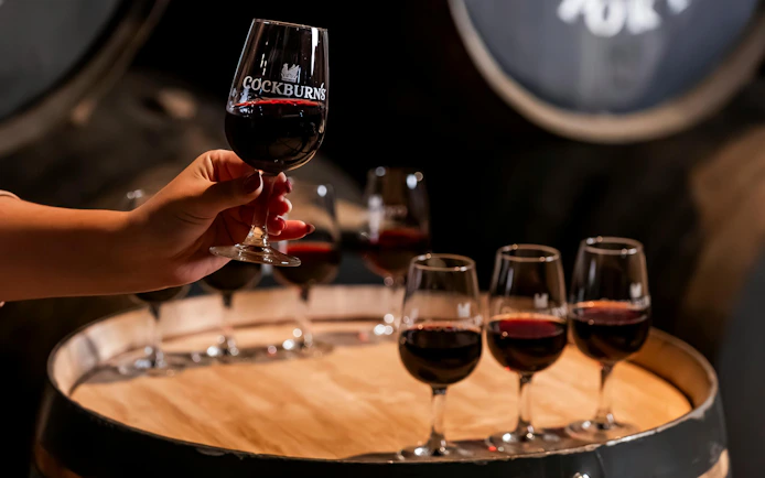 Cockburn's Lodge Guided Tour with Premium Wine Tasting