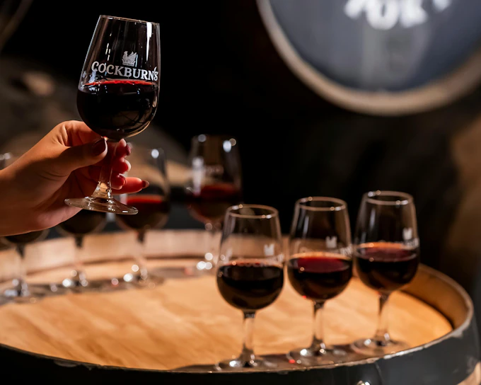Cockburn's Lodge Guided Tour with Premium Wine Tasting