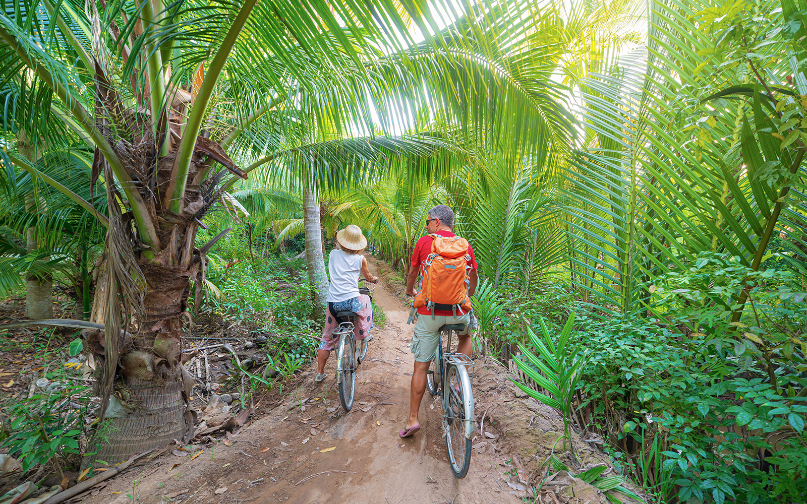 Tourists biking through lush palm trees in My Tho, Mekong Delta.