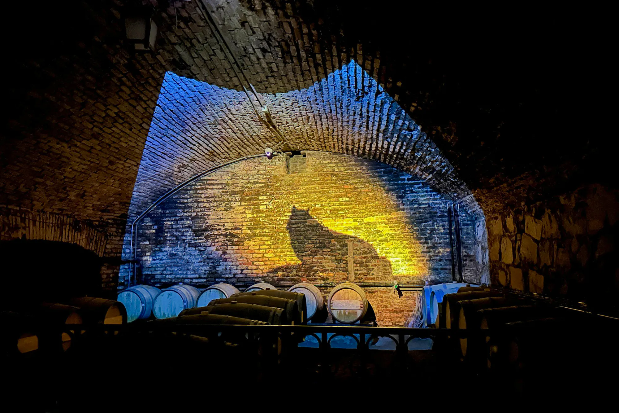 Wine barrels in an underground cellar at Concha y Toro Winery, Santiago.