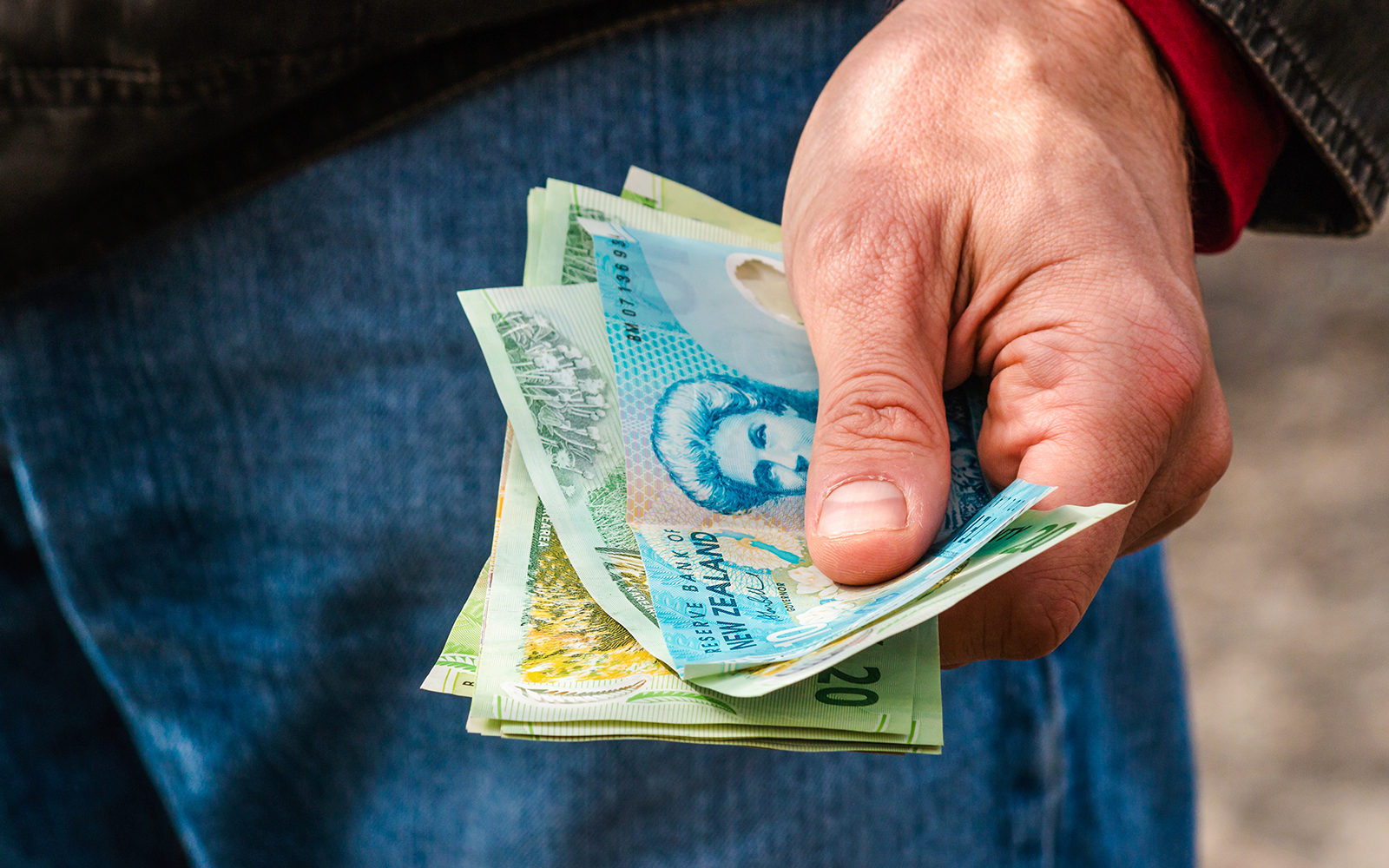 Hand holding New Zealand dollar bills.
