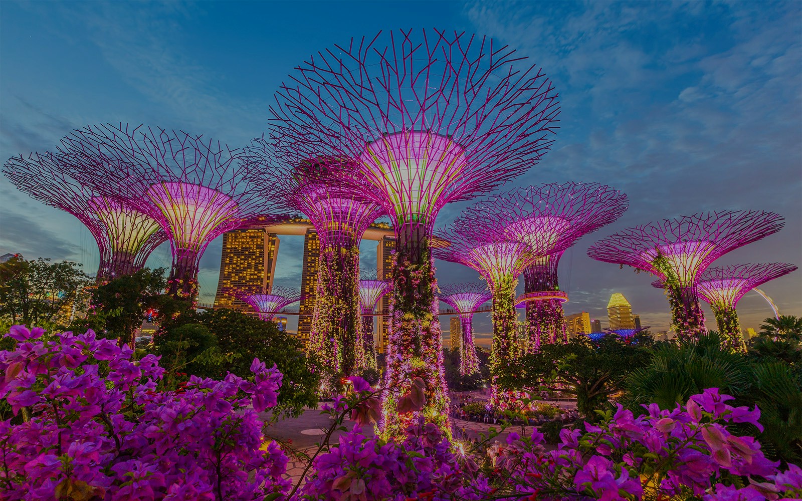 espectaculo luces gardens by the bay