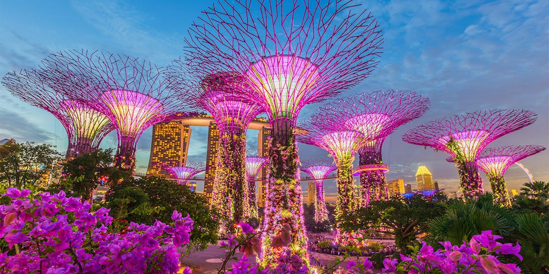 Gardens by the Bay light show with illuminated Supertree Grove in Singapore.