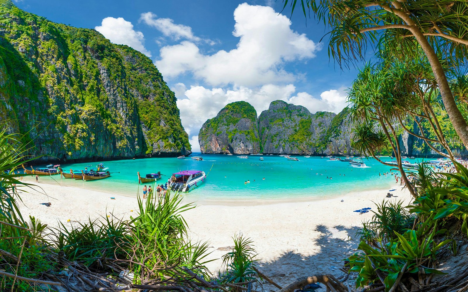 Maya Bay beach with boats and tourists, surrounded by limestone cliffs, Phuket, Thailand.