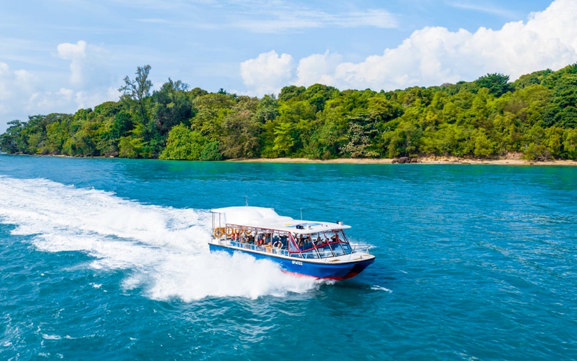 Speedboat cruising near lush island on Singapore Speedboat Adventure.