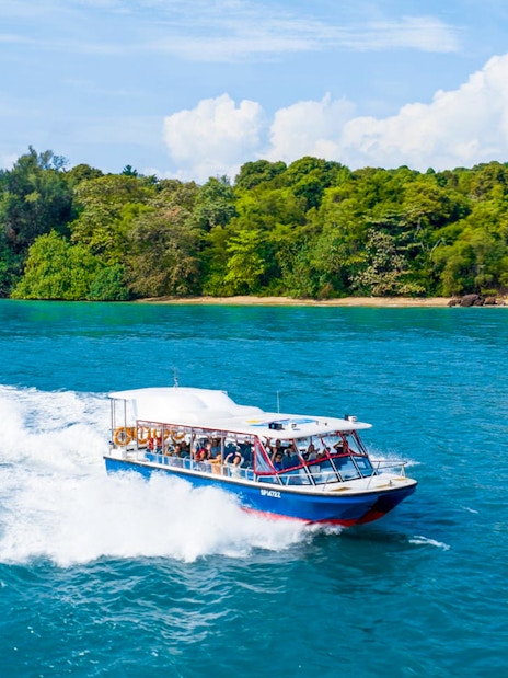 Speedboat cruising near lush island on Singapore Speedboat Adventure.