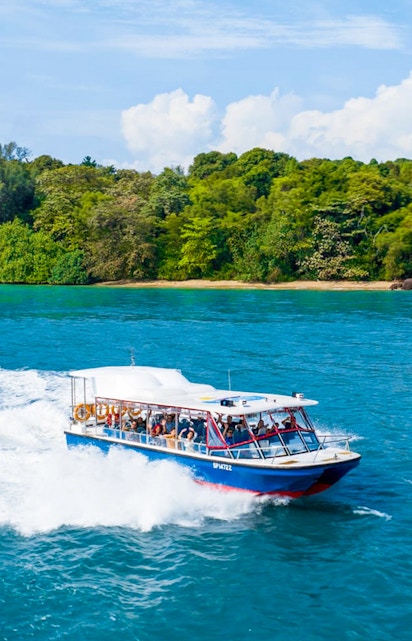Speedboat cruising near lush island on Singapore Speedboat Adventure.
