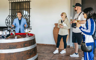 Friends enjoying wine tasting tour in Naples with guide.
