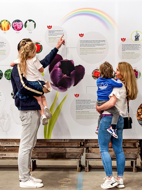 Family exploring tulip history at interactive museum exhibit.