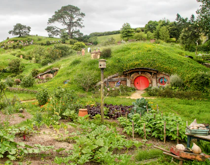 Panoramic view of Hobbiton movie set with lush green hills and iconic round door.