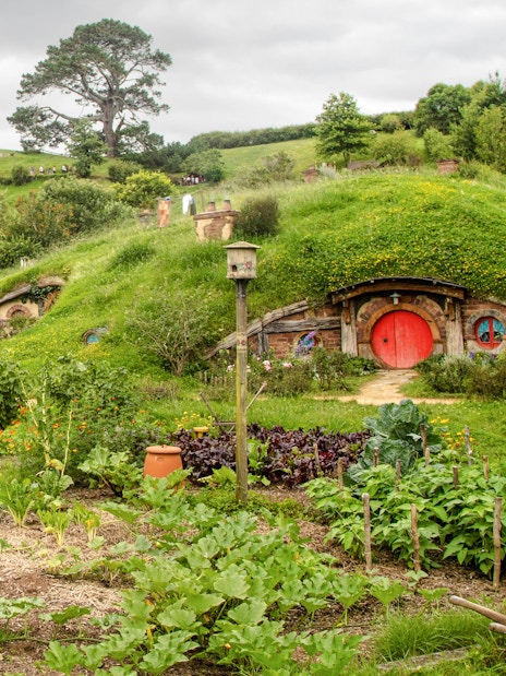 Panoramic view of Hobbiton movie set with lush green hills and iconic round door.