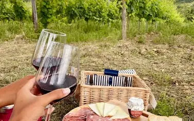 Tuscany countryside picnic with wine glasses, cheese, and charcuterie near vineyard.