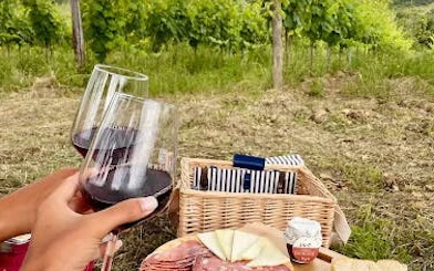 Tuscany countryside picnic with wine glasses, cheese, and charcuterie near vineyard.