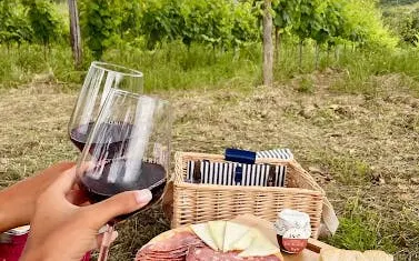 Tuscany countryside picnic with wine glasses, cheese, and charcuterie near vineyard.
