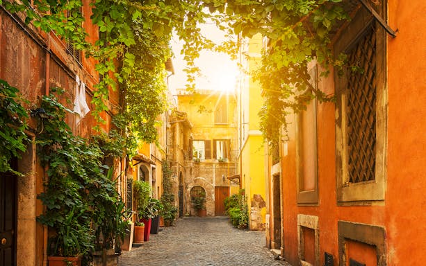 Trastevere street with ivy-covered buildings at sunset during a food tour.