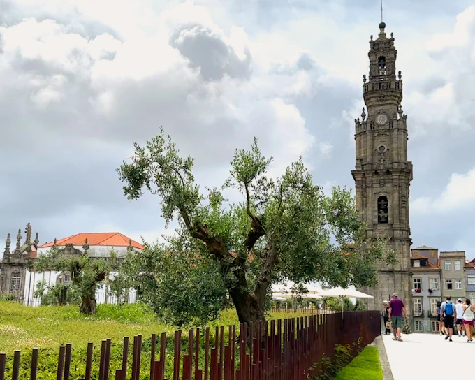 Clérigos Tower Guided Tour with Porto City Highlights