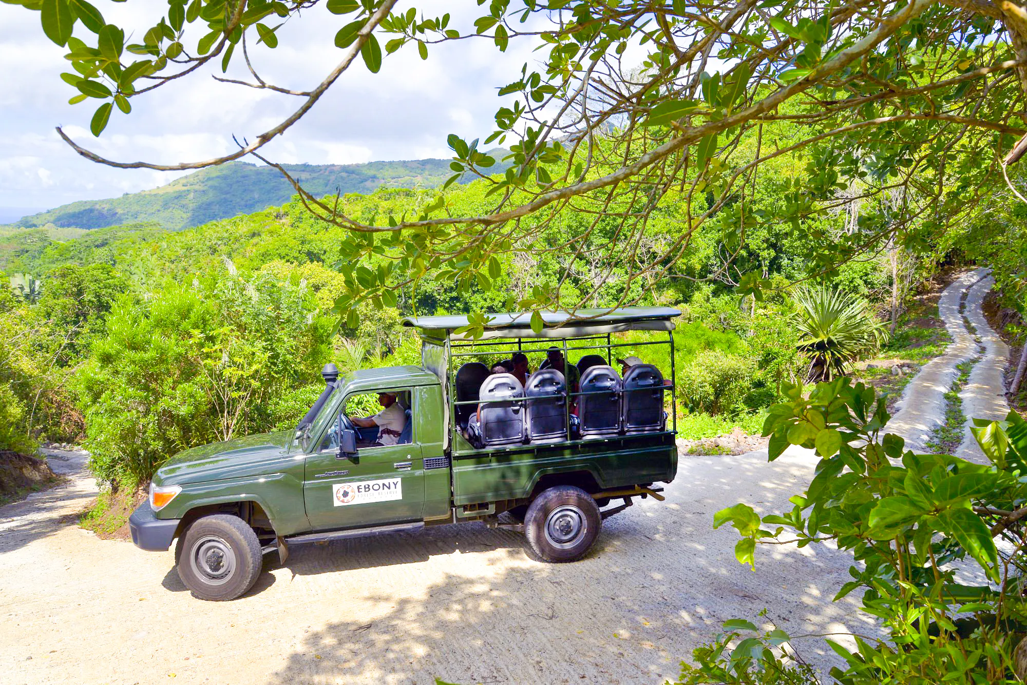privat tur til chamarel: jeep-safari i ebenholtskogen, de syvfargede jordlagene og fossen, inkludert lunsj-11